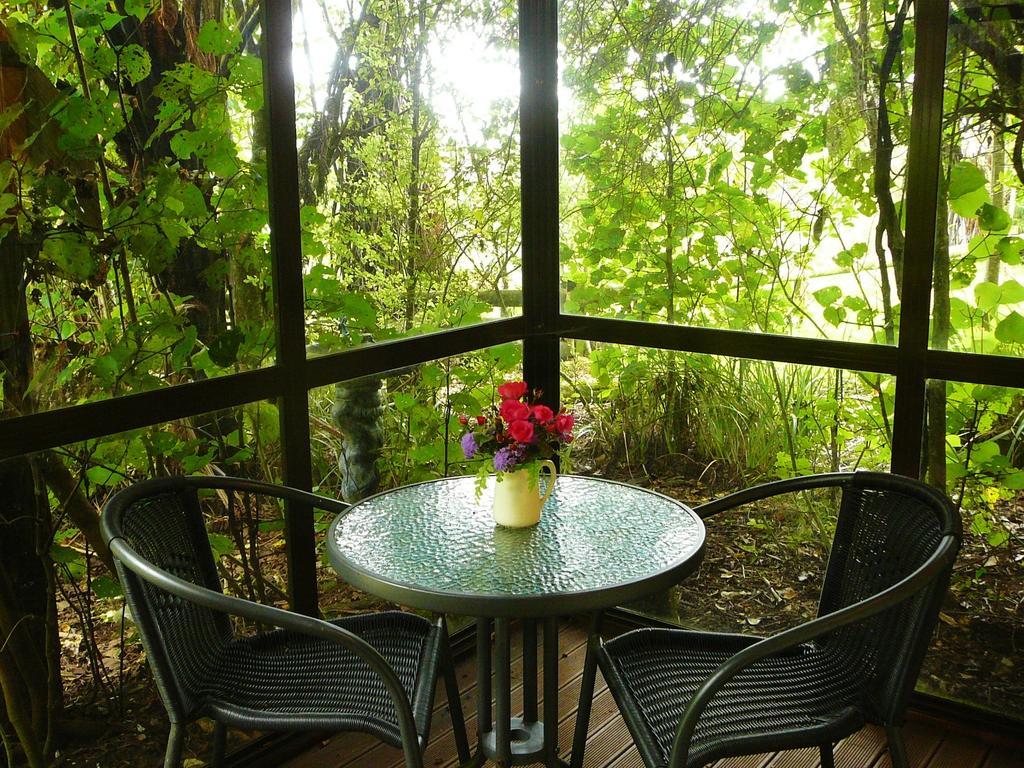 Mount Tutu Eco-Sanctuary Bed & Breakfast Ohauiti Rom bilde