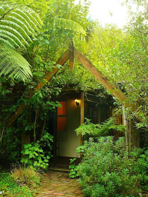 Mount Tutu Eco-Sanctuary Bed & Breakfast Ohauiti Rom bilde